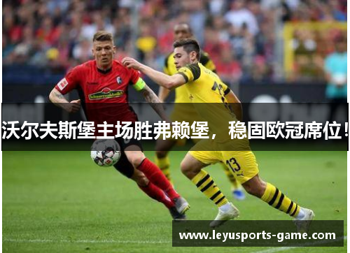 沃尔夫斯堡主场胜弗赖堡，稳固欧冠席位！