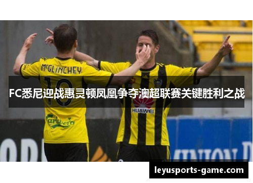 FC悉尼迎战惠灵顿凤凰争夺澳超联赛关键胜利之战